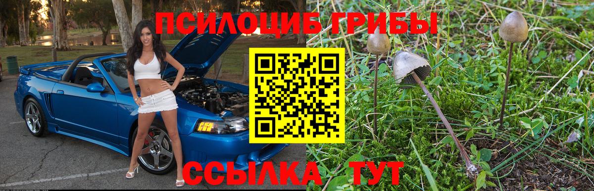 Галлюциногенные грибы GOLDEN TEACHER Ейск