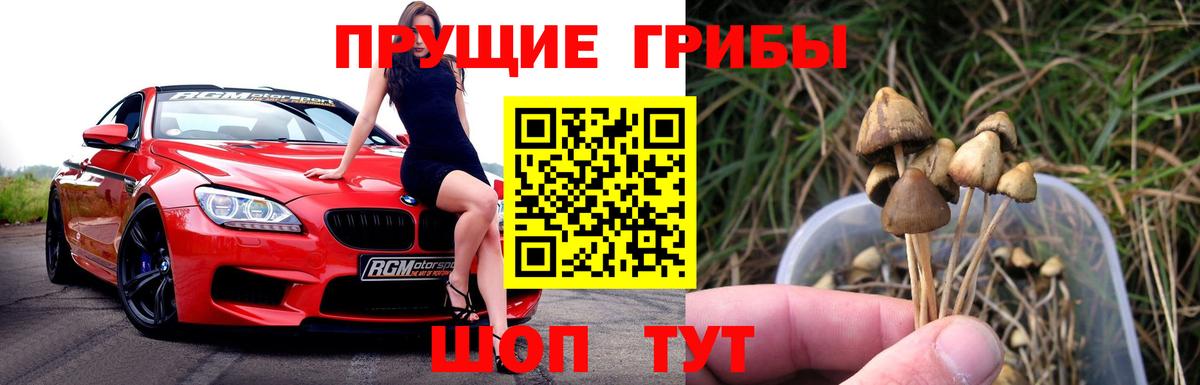 Галлюциногенные грибы Cubensis  где купить   Ейск  Псилоцибиновые грибы мухоморы  Вход с VPN 
